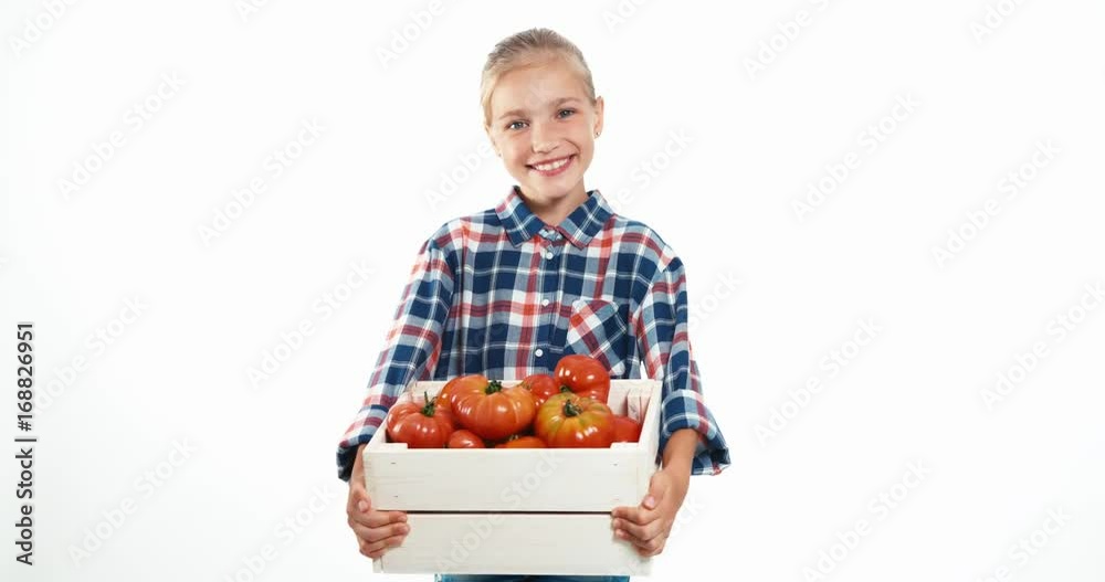 Portrait girl child holding box with big ripe tomatoes isolated on white Portrait girl child holding box with big ripe tomatoes isolated on white