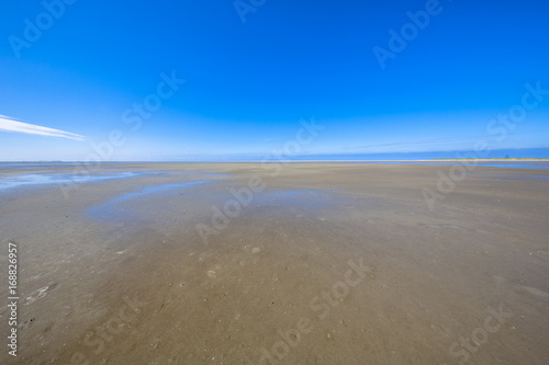 Emptiness of the Wadden sea mudflats