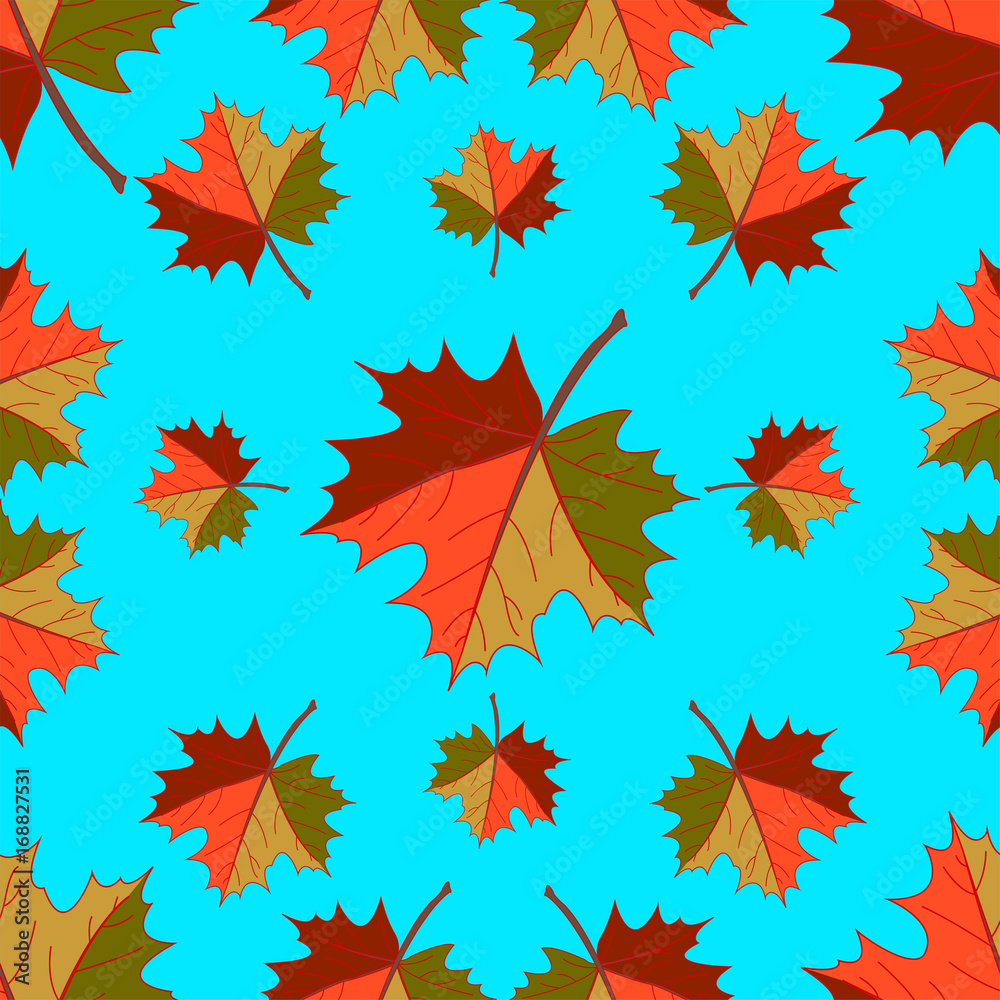 Fototapeta premium Maple leaf