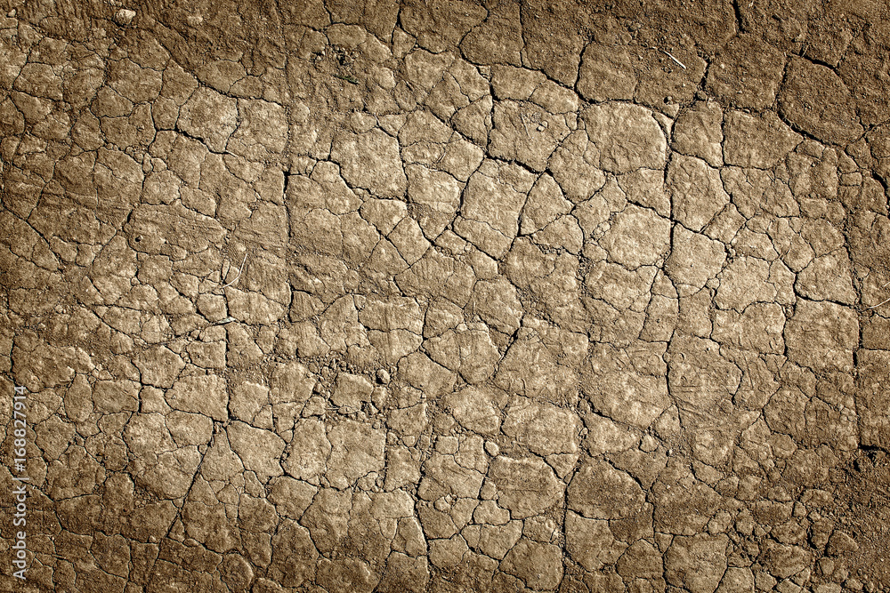 Fototapeta premium Cracked land