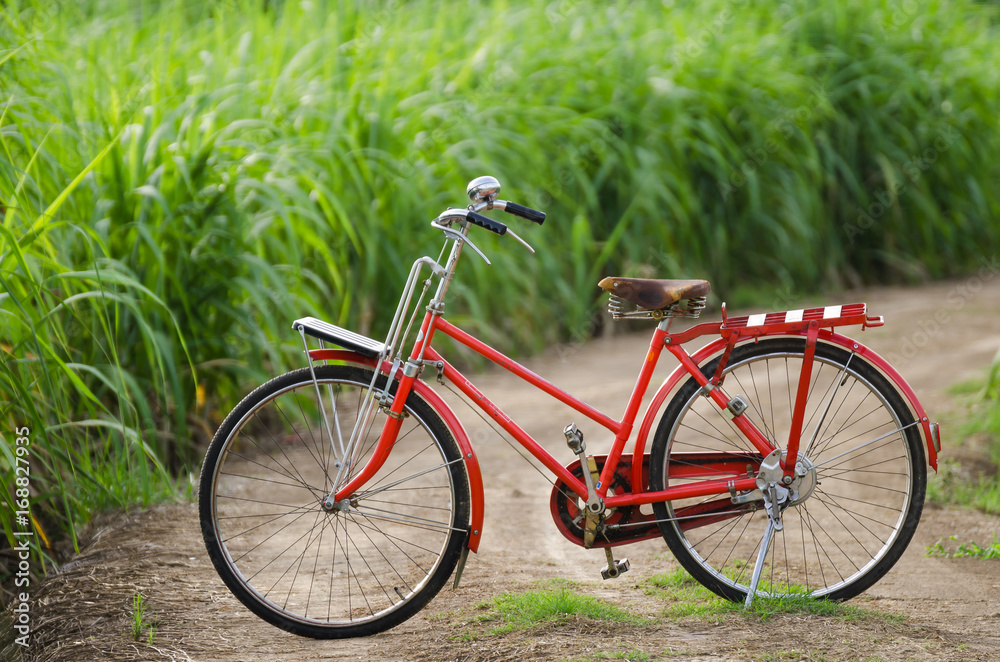 Vintage bicycle  nature background