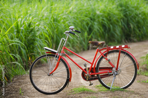 Vintage bicycle  nature background © AlexPhototest