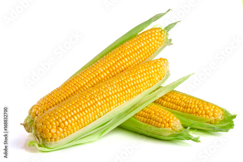 ear of corn isolated on a white background