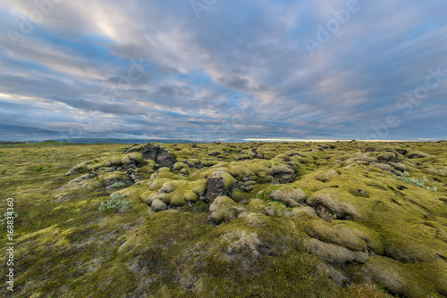Moss-covered lava fields in south Iceland.
