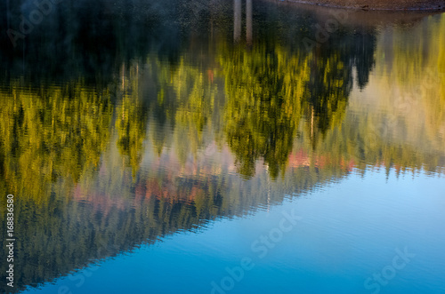 lake surface reflecting spruce forest on hillside