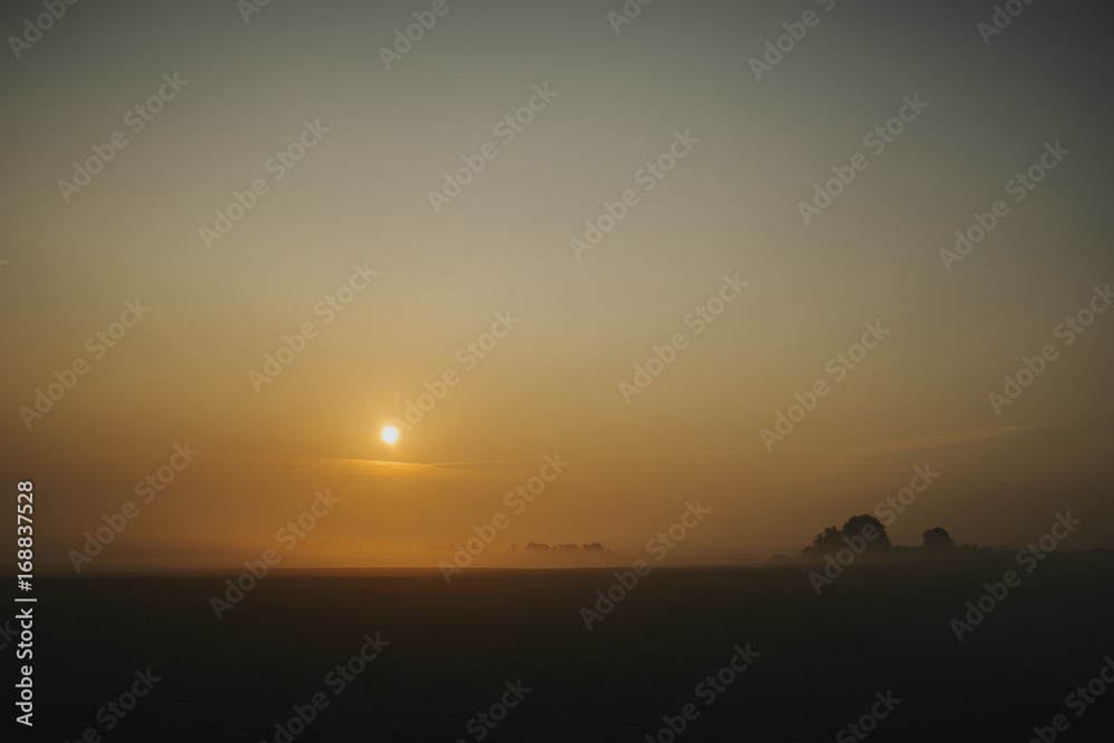 Fototapeta premium Misty Sunrise