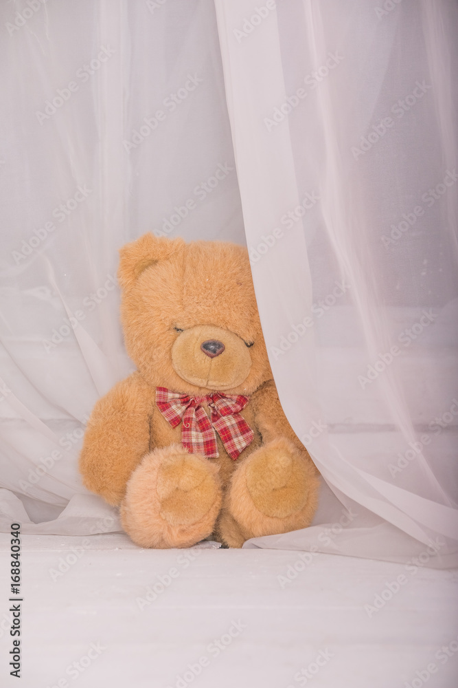 Big brown teddy bear sitting near window. Lost toy.Vertical photo. Copy