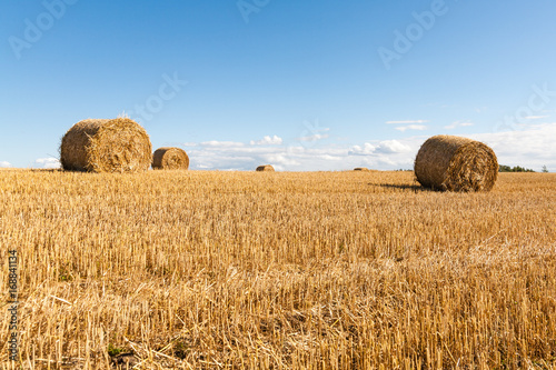 Obraz na płótnie Hay rolls on a meadow landscape on a hot summery day with light beautiful clouds on a blue sky w salonie