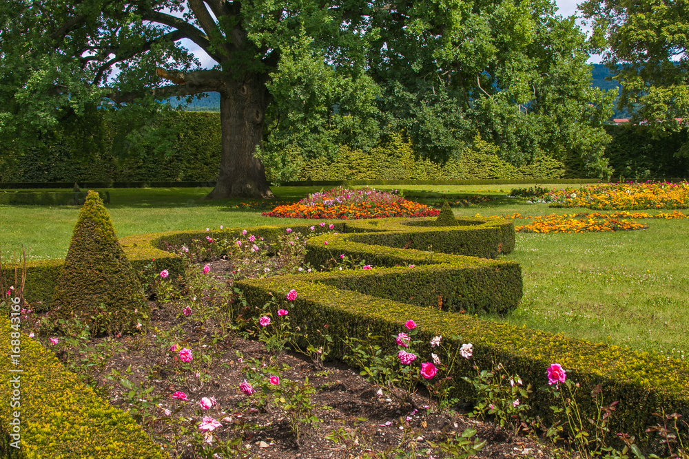 Giardino con rose del castello di Cesky Krumlov
