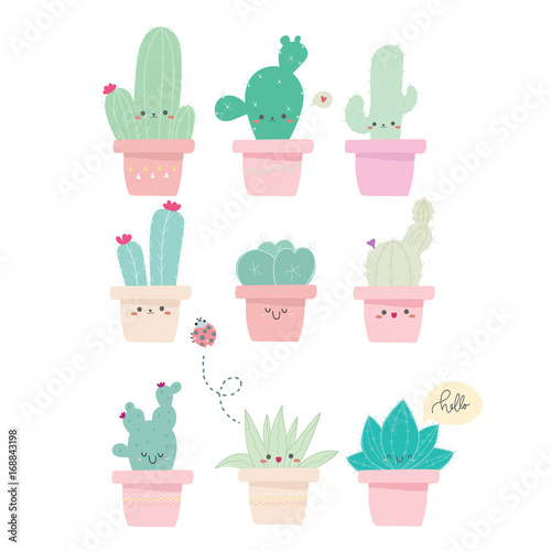 cute cactus Fototapet