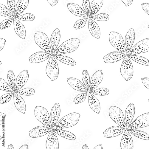 Seamless pattern with black contours of lilies on white background, vector illustration. Beautiful flowers for your design © mila_1989