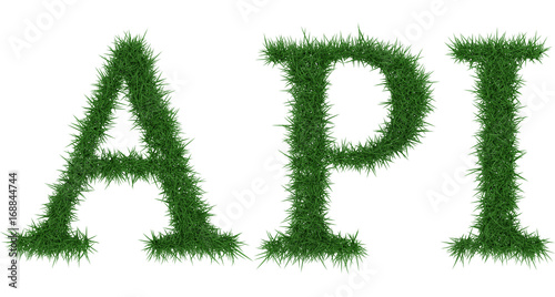 Api - 3D rendering fresh Grass letters isolated on whhite background.