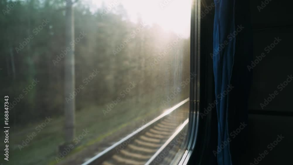 Landscape, view of trees and forest from the window of a train on the motion, nature.
Landscape, view of trees and forest from the window of a train on the motion, nature.