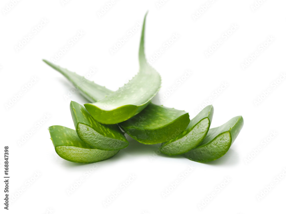 Aloe vela on white background