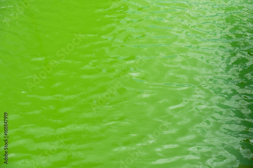 Green watercolor texture background