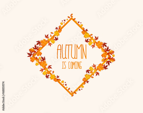 Vector frame with stylish composition of autumn leaves. 