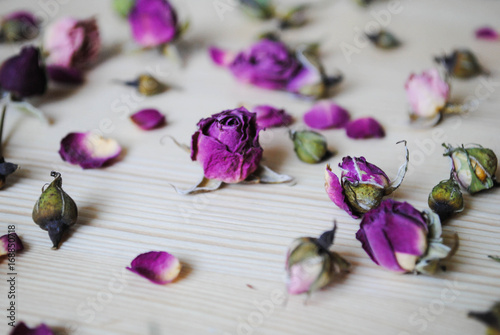 bud of dried roses