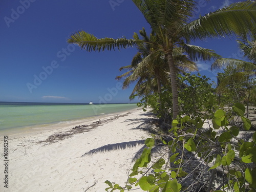 Sandstrand mit Palmen auf Kuba