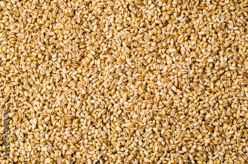 Fotografie Dry pearl barley