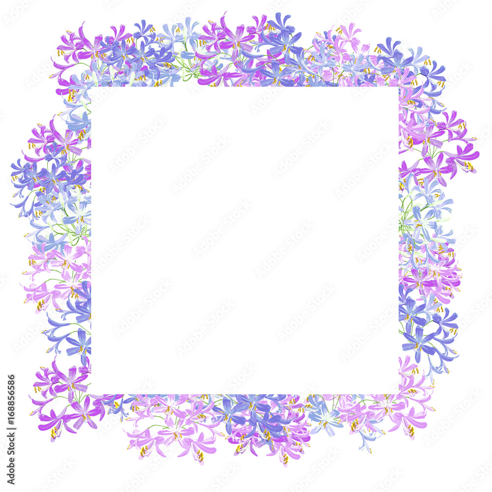 The agapanthus flower for frame. The flower on the square is vector illustration. The agapanthus flower for frame. The flower on the square is vector illustration.