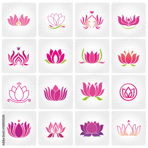 lotus logo