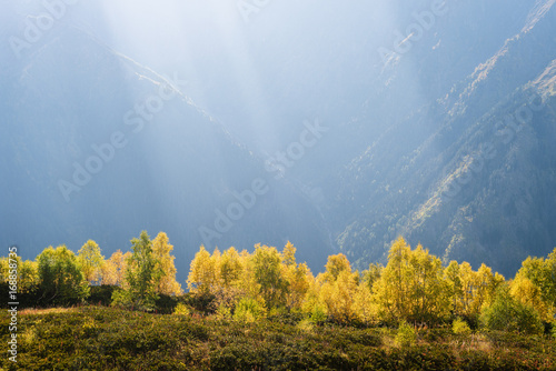 Autumn forest in a mountain valley