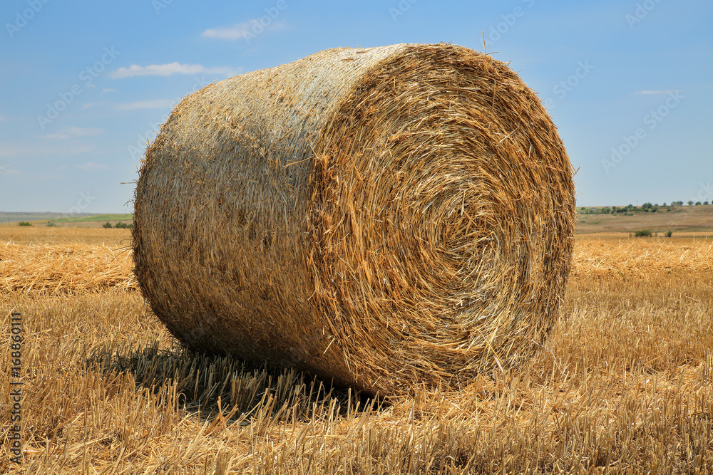 Φωτογραφία Close up of a round, golden hay bale on a reaped wheat field against blue sky wi