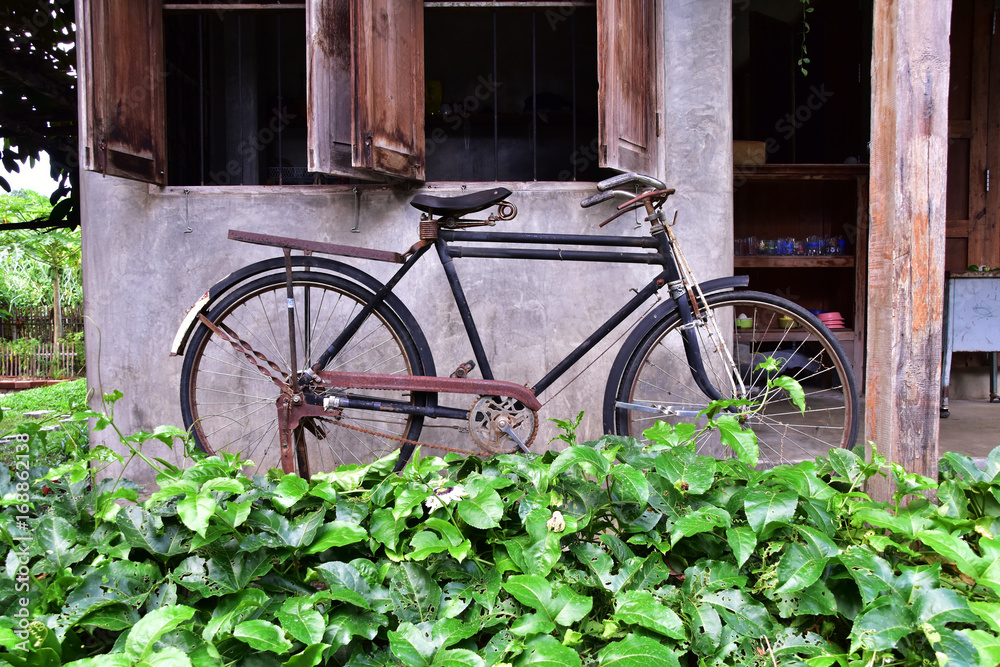old vintage bicycle with wooden house and garden.