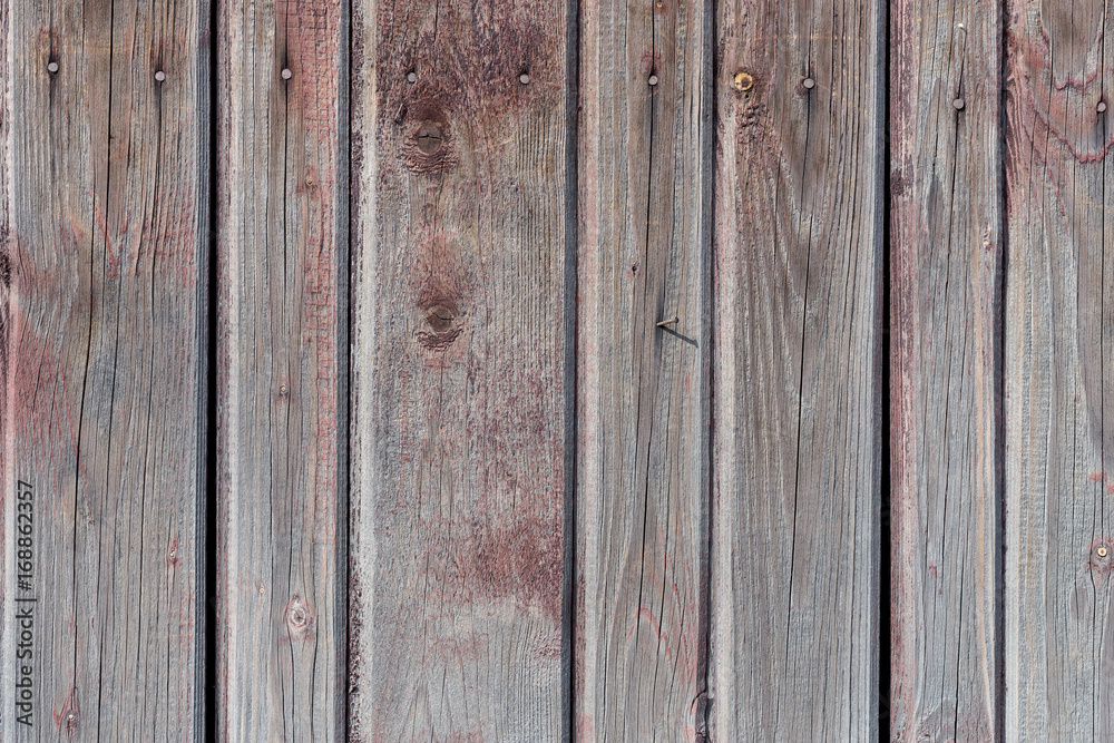 Fototapeta premium The old wood texture with natural patterns