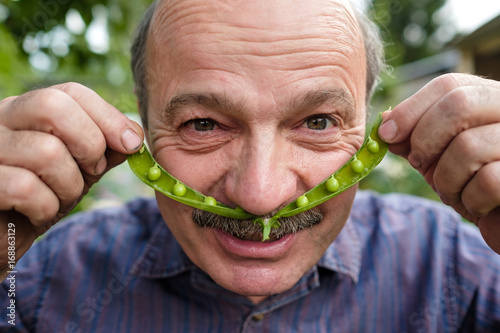 An elderly man is fooling around. He holds a pea pod near his face like a mustache photo