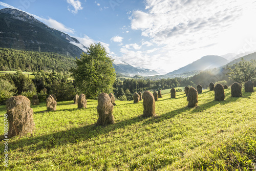 Fototapeta Naklejka Na Ścianę i Meble -  Heuwiese in Tirol