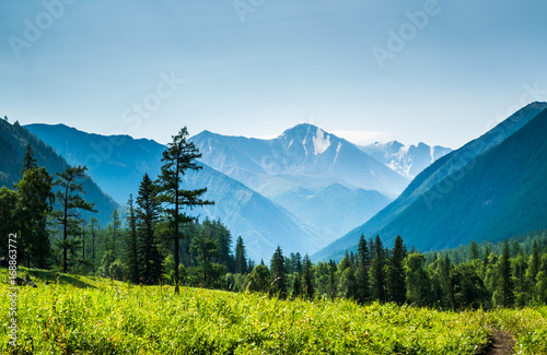 mountain range and valley with hiking trails covered with coniferous forest. Belukha national park, Altai republic, Siberia, Russia