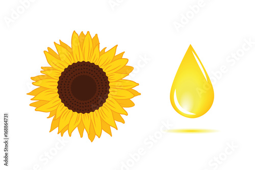 Fototapeta Naklejka Na Ścianę i Meble -  öl aus sonnenblumen