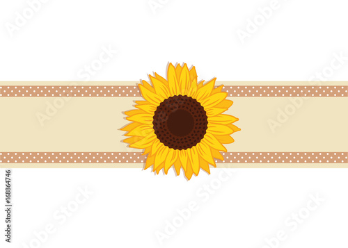 sonnenblumen band