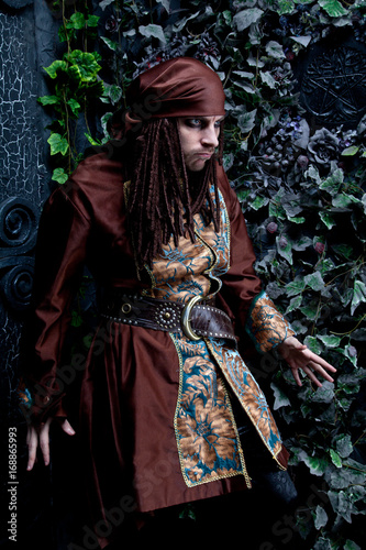 handsome pirate in the night garden photo