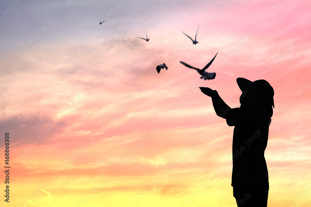 silhouette people release birds to be freedom and free