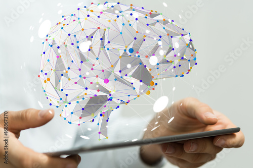 brain network