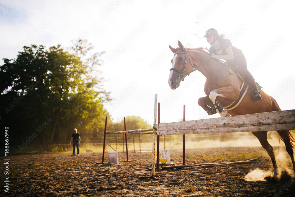 Obraz premium Young female jockey on horse leaping over hurdle