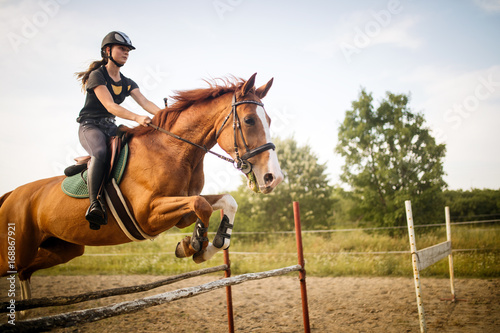 Young female jockey on horse leaping over hurdle © NDABCREATIVITY