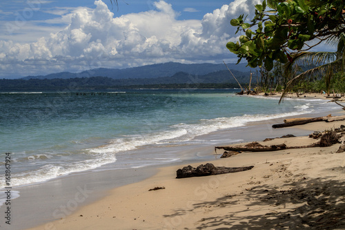 Fototapeta Naklejka Na Ścianę i Meble -  Caribbean beach, Cahuita National Park. Costa Rica