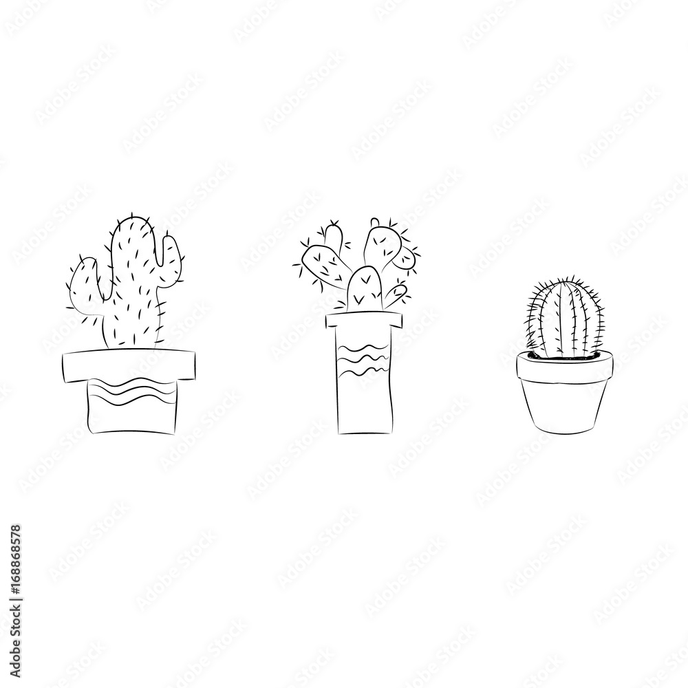 Cactus on a white background. . Cactus banner.mexico. Cactus on a white background. . Cactus banner.mexico.