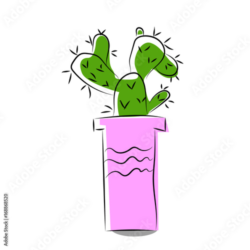 Cactus on a white background. . Cactus banner.mexico. photo