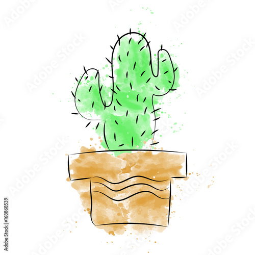 Cactus on a white background. . Cactus banner.mexico. photo