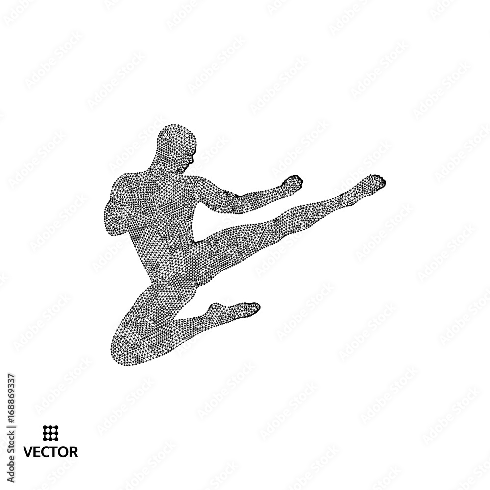 Karate and kung fu. Karate jump kick. Fighter. 3d model of man. Sport symbol. Design element