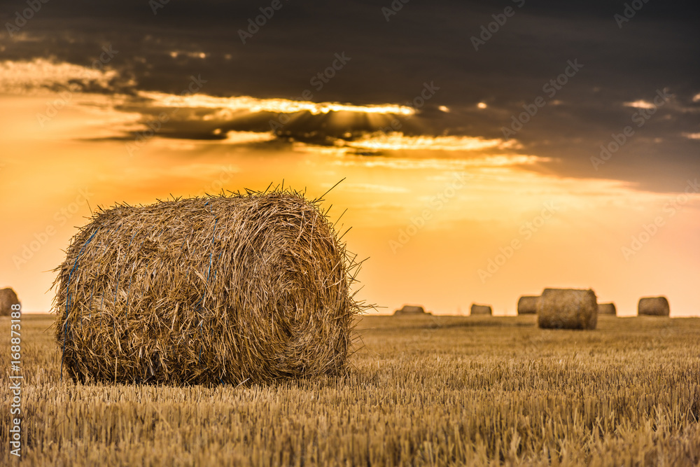 A field of hay bale at sunset with beautiful golden light and clouds A field of hay bale at sunset with beautiful golden light and clouds