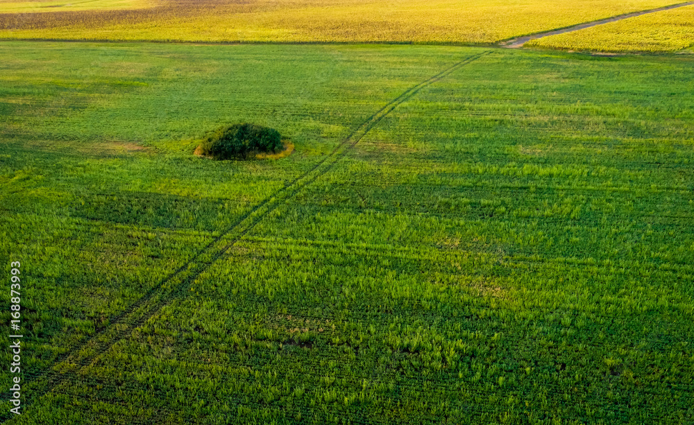 Aerial view of a country road in the middle of sunflower field Aerial view of a country road in the middle of sunflower field