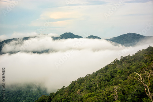 Mist on the pha hin kub Thailand.