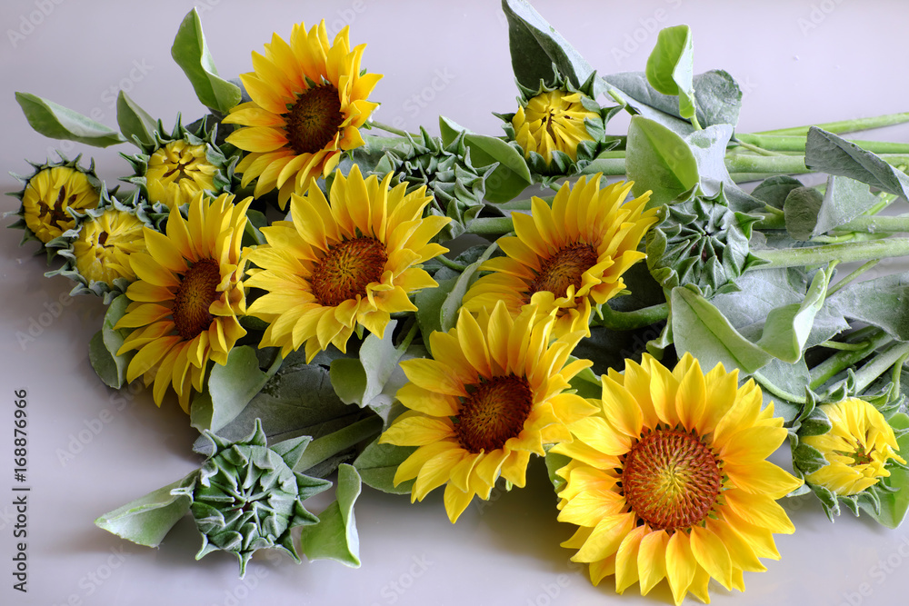 clay flower, sunflower bouquet clay flower, sunflower bouquet