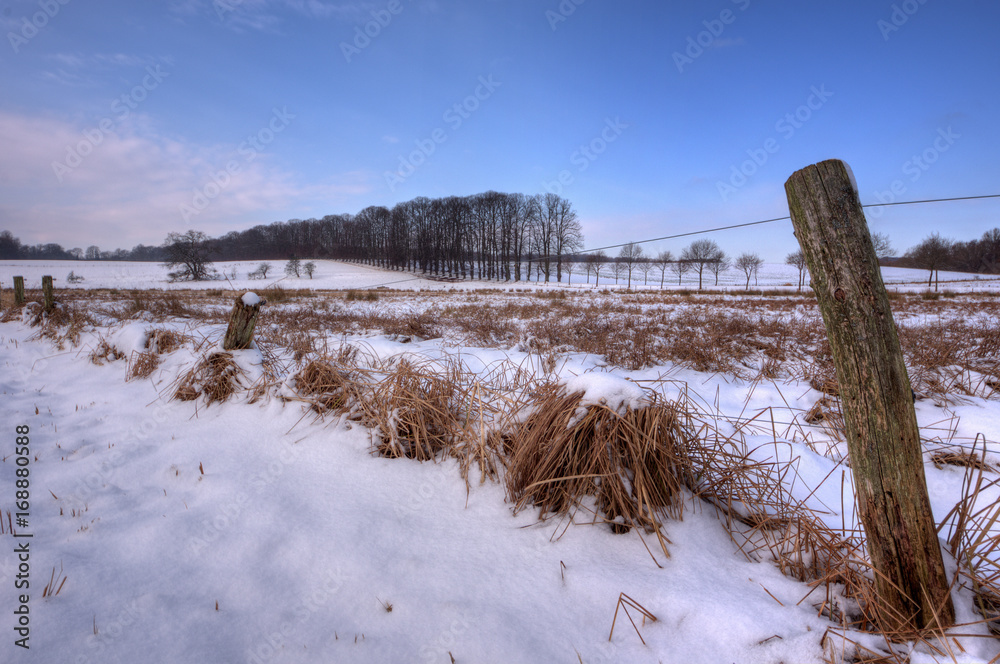 Winter in the countryside