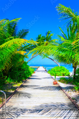 Fototapeta Naklejka Na Ścianę i Meble -  Dreamscape Escape On Maldives
